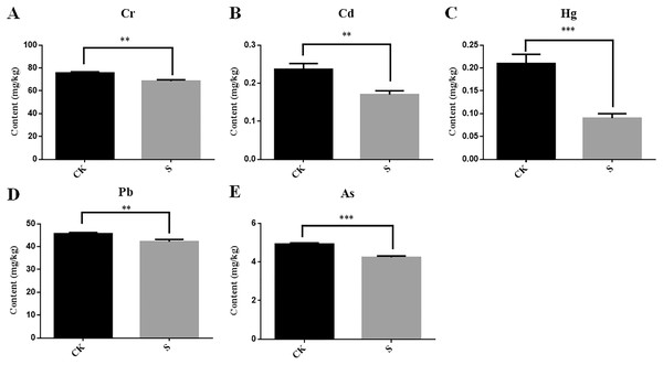Determination of the content of five heavy metals Cr (A), Cd (B), Hg (C), Pb (D) and As (E) in fly ash between the sapling and pre-planting stages.