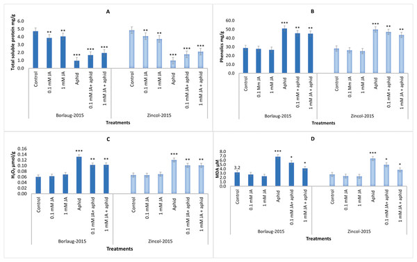 Impact of foliar jasmonic acid treatment on Total soluble protein (A), phenolics (B), H2O2 (C) and MDA content (D) of two varieties of wheat i.e., Borlaug-2015 and Zincol-2015 with and without aphid stress.