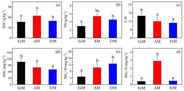 Differences in contents of soil C and N among the three forests.