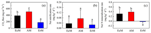 Differences in soil C and N fluxes among the three forests.