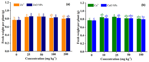 Fresh weight per plant of Medicago polymorpha L. under different Zn (A) and Cu (B) treatments.