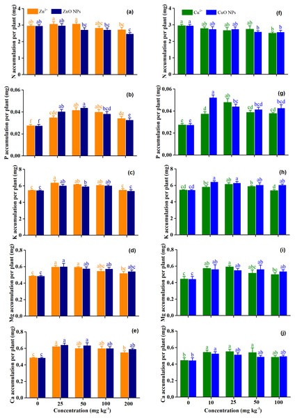 (A–J) The accumulation of macronutrients of Medicago Polymorpha L. plants under different Zn and Cu treatments.