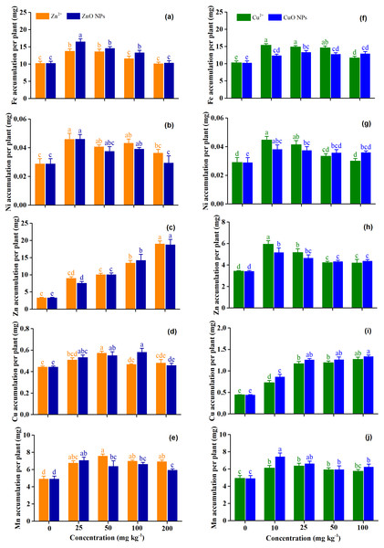 (A–J) The concentration of micronutrients of Medicago Polymorpha L. plants under different Zn and Cu treatments.