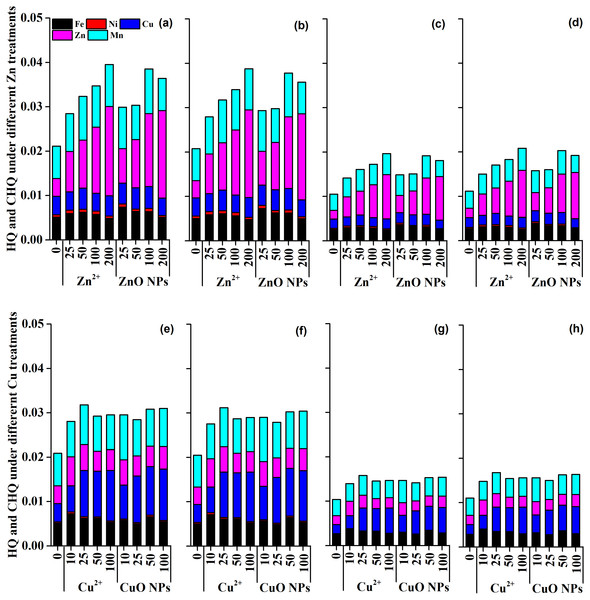 The hazard quotient (HQ) and cumulative hazard quotient (CHQ) of metal elements under different Zn and Cu treatments.