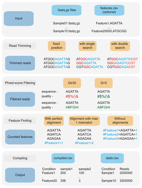 2FAST2Q: A general-purpose sequence search and counting program for FASTQ files 2FAST2Q pipeline.