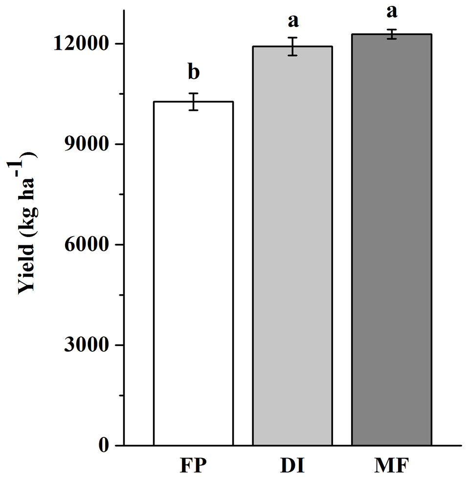 Frontiers  Mucilaginibacter sp. K Improves Growth and Induces