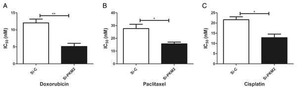 Inhibiting PKM2 in MCF-7 cell shows higher sensitivity for anti-cancer treatment.
