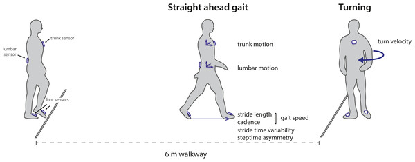 Overview of the experimental set-up and outcome parameters.