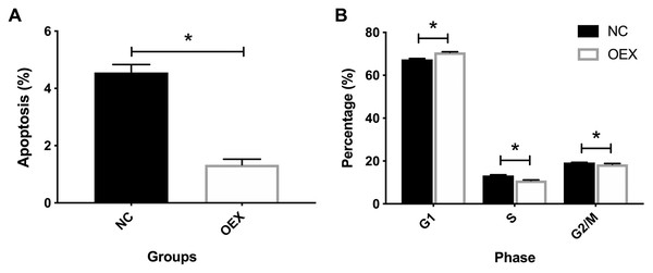Effect of overexpression with miR-378 on cell apoptosis and cell cycle distribution.