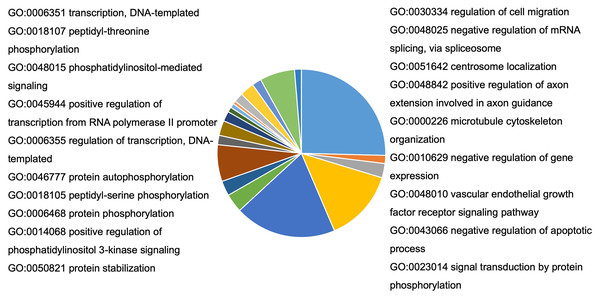 Bioinformatic analysis of predicted target genes of miR-378.
