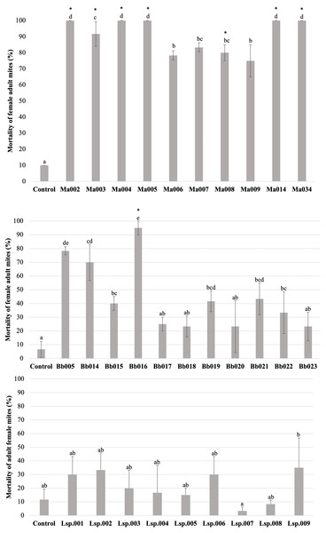 Percentage mortality of T. merganser by different strains of entomopathogenic fungi (1 × 108 conidia/ml).