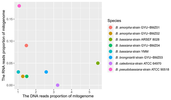 Scatter-plot chart of the DNA reads proportion and RNA reads proportion of mitogenomes from 8 Beauveria species.