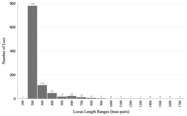 Histogram showing lengths of loci in base pairs.