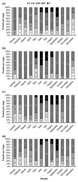 The ovarian frequency composition of Acentrogobius viridipunctatus.