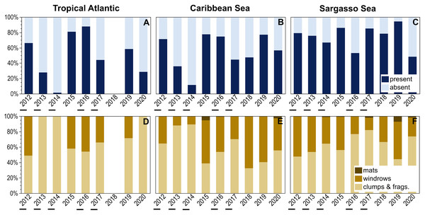 Annual patterns of holopelagic Sargassum presence and aggregation type.