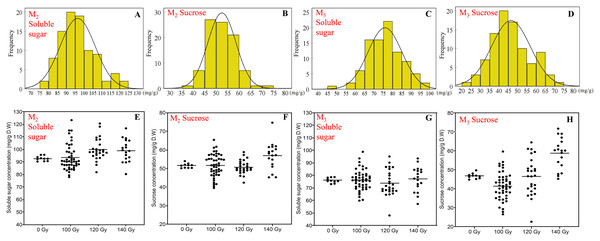 The distribution of seed soluble sugar and sucrose concentration in M2 and M3 generations.