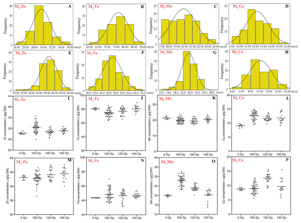 The distribution of seed trace elements concentration in M2 and M3 generations.