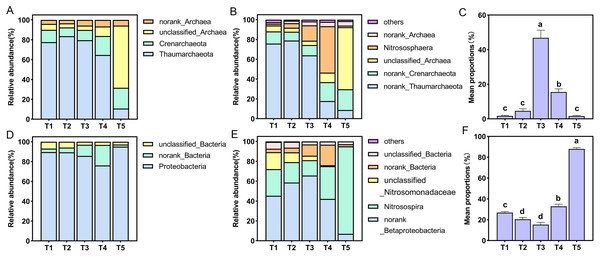 Relative abundance of ammonia-oxidizing archaea (AOA) and bacteria (AOB) at phylum and genus level.