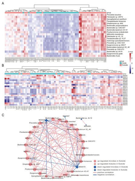 Differential species and KEGG modules between Inside and Outside groups.