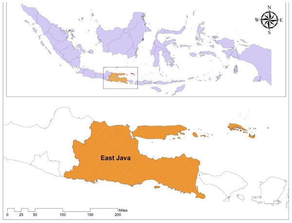 Location of East Java in Indonesia.