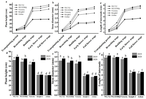 Phenotypic evaluation of five alfalfa cultivars.