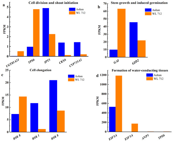 Bar graphs showing the FPKM of DEGs involved in additional biological processes distinguished by GO enrichment analysis.