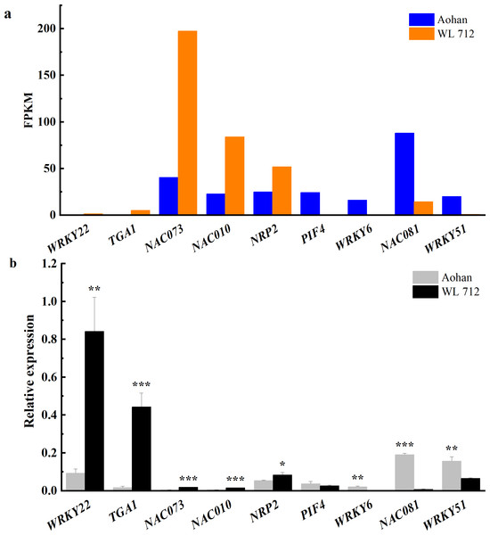 Transcription factors putatively involved in stem elongation and diameter enlargement in alfalfa as distinguished by GO analysis.