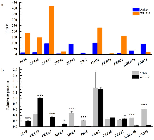 Comparison of RNA-seq and qRT-PCR for 11 genes.