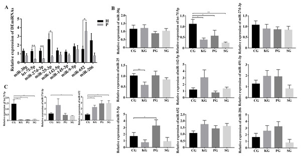 Screening of key miRNAs involved in bacteria-induced pulmonary pulmonary fibrosis.