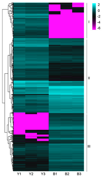 A heatmap of the expression profiles of differentially expressed genes (DEGs).