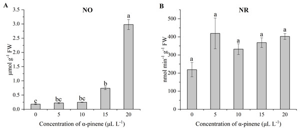Effects of α-pinene on nitrogen metabolites in the leaves of drooping wildryegrass seedlings subjected to 0, 5, 10, 15 and 20 µL L−1α-pinene for 4 days (with Kruskal–Wallis test).