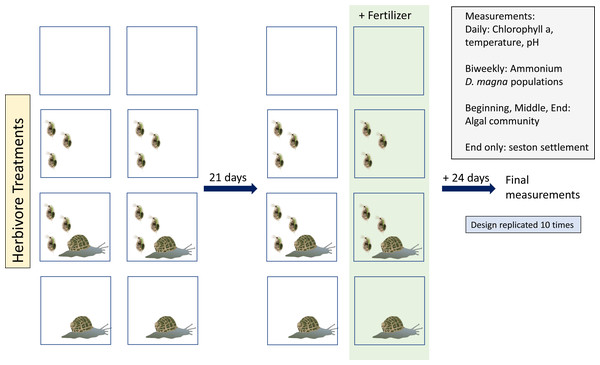 Study design:Vector images courtesy of the Integration and Application Network (ian.umces.edu/media-library).