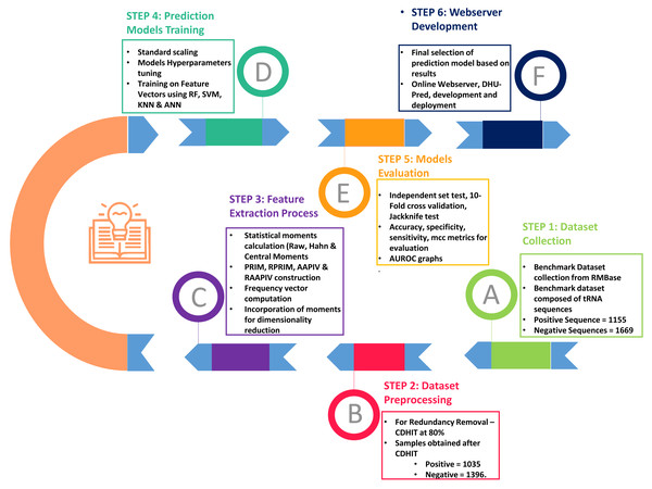 Flow chart of the methodology.