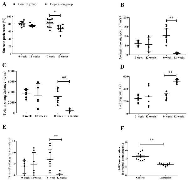 Results of sucrose preference test, depressed behaviors and serotonin level in rats.