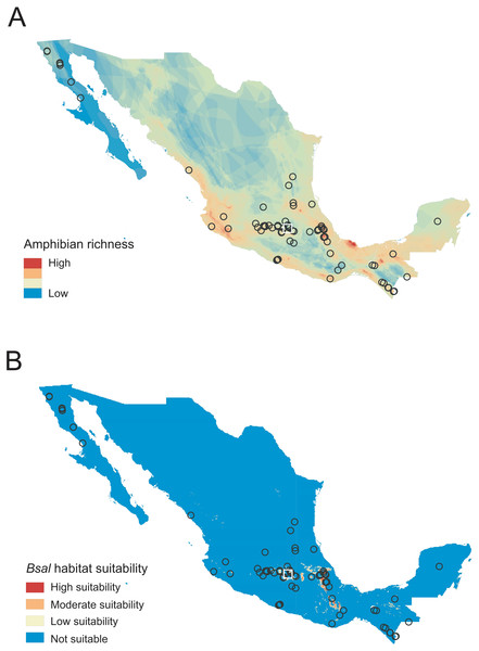 Sampled localities in Mexico analyzed for Batrachochytrium salamandrivorans (Bsal) detection.