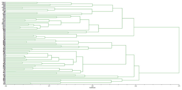 Dendrogram of clustering analysis based on EST-SSR data for the genetic diversity of B. graminis f. sp. tritici isolates from different origins.