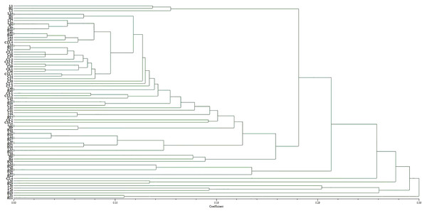 Dendrogram of clustering analysis for the virulence diversity of 80 B. graminis f. sp. tritici isolates.