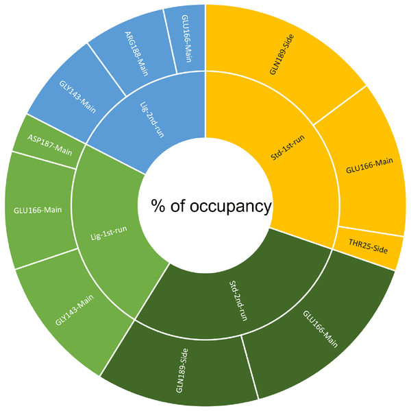 The percentage of occupancy each residue participating in H-bonding.