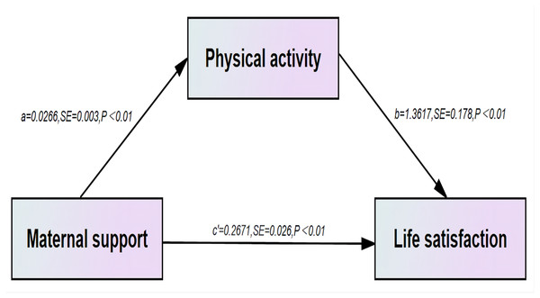 Analytical model of the mediating role of physical activity in the association between maternal support and life satisfaction.