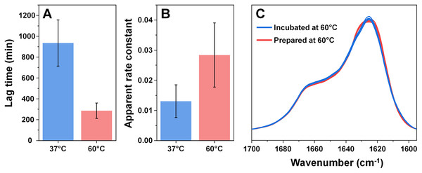 Comparison of alpha-synuclein aggregation kinetics and resulting structure under different temperatures.