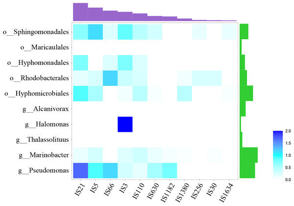 Distribution of IS elements.