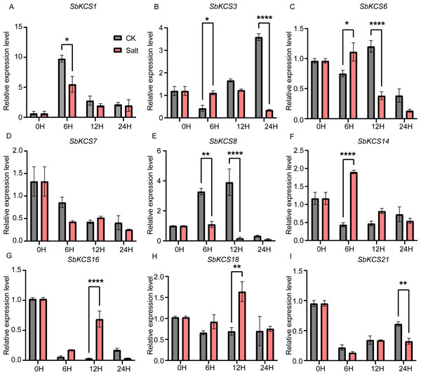 Expression profile of nine SbKCS genes under salt stress treatment.