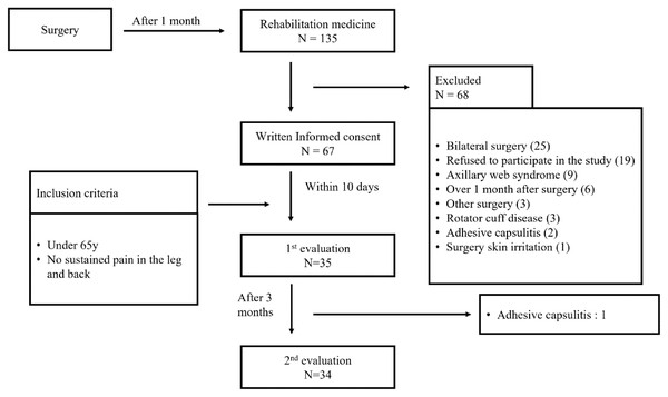 Overall flowchart of the study.