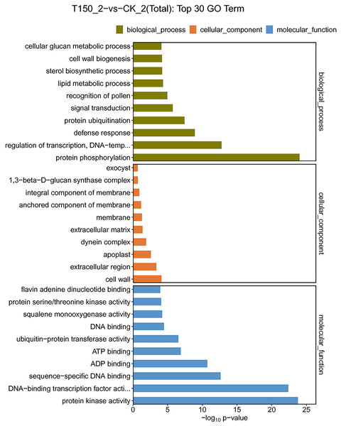 GO functional classification of DEGs under treated with MT.