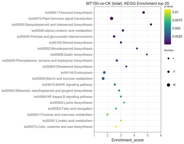 KEGG functional classification analysis of DEGs under treated with MT.