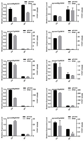 qRT-PCR analysis of ten DEGs expression level combined with RNA-Seq.