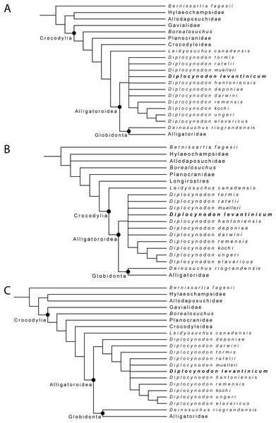 Collapsed Strict consensus trees, obtained from the maximum parsimony analyses of 105 taxa with 187 characters included.