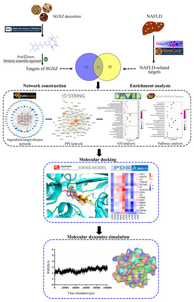 Investigation of the potential mechanism of the Shugan Xiaozhi ...