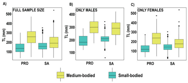Boxplot of total length (TL) of parrotfish species collected in 2019 in San Andrés (SA) and Providencia (PRO).