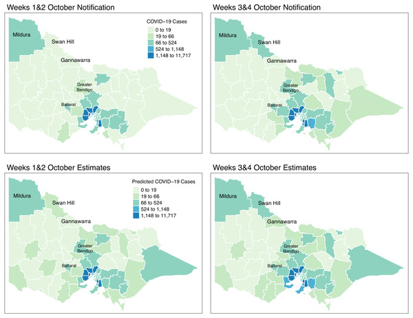 Fortnightly comparison of notified and estimated COVID-19 cases in Victoria, Australia during October 2021.